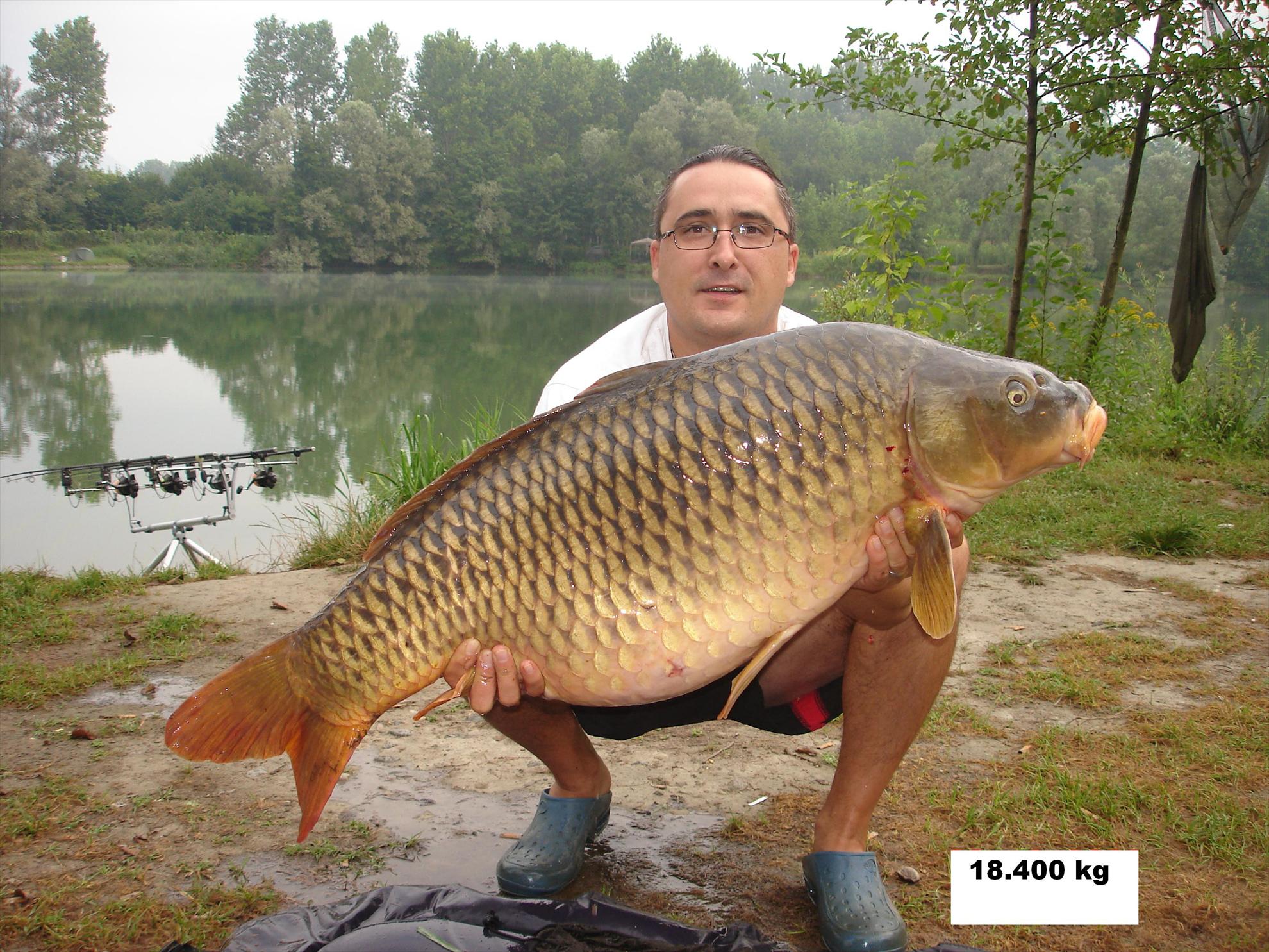 THE BIGS OF 2011 - p1000122.JPG